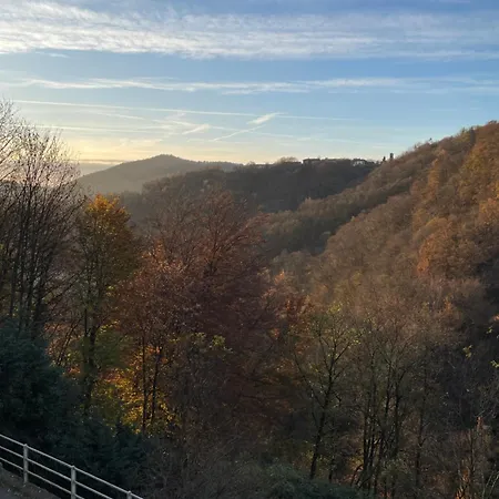 Ai 4 Gatti * Camandona