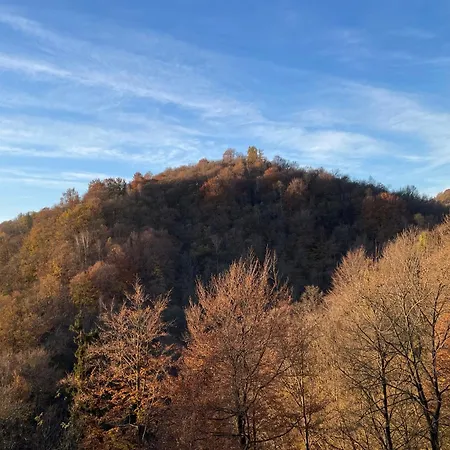 Ai 4 Gatti * Camandona